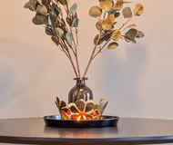 Baudouin  Service Apartment