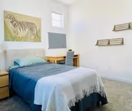 6162 Garden Oasis St