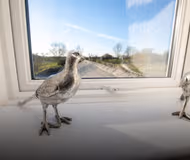 Beautiful Home with Stunning Countryside Views!