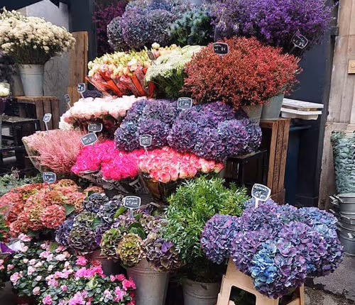 Saussure Street One bedroom - Champs Elysees