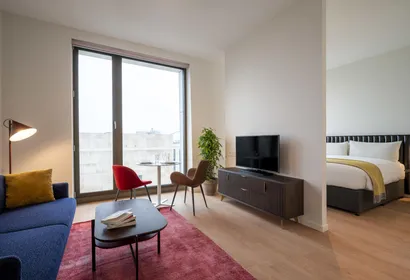 Parnassuweg Serviced Apartments