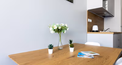 Narva serviced apartment