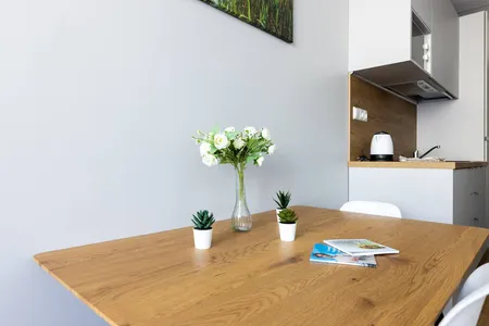 Narva serviced apartment
