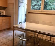 Lehenmattstrasse Serviced Apartment