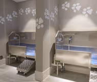 Elevate Cir Apartment