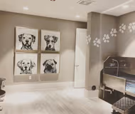 Elevate Cir Apartment