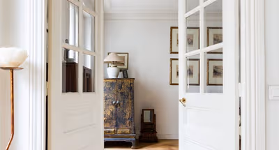 A Classic Paris - Tree-lined Boulevard