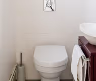 A Classic Paris - Tree-lined Boulevard