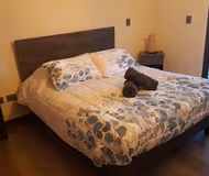 Vicente Perez Rosales Apartment