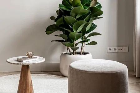 Nieuw Serviced Apartment