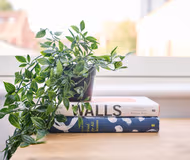 Chic - 5 Bed - 5 Bath - Free Parking