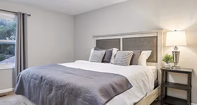 Bolingbrook Comfort Juniper