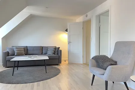 Norrebrogade Serviced Apartment, Copenhagen