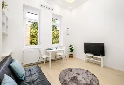 Váci út 32 service apartment