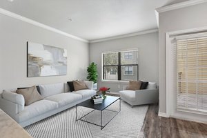 Rio Grande St Apartment