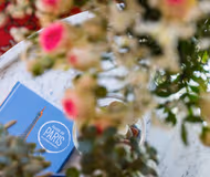 Eclectic by the Folies Bergère