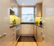 Garden Square Serenity