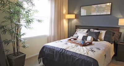 Windscape of Naperville