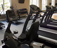 Windscape of Naperville