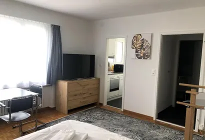 Bright and quiet Studio apartment close to Zurich Stadelhofen