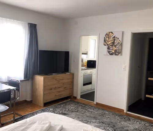 Bright and quiet Studio apartment close to Zurich Stadelhofen