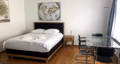 Bright and quiet Studio apartment close to Zurich Stadelhofen