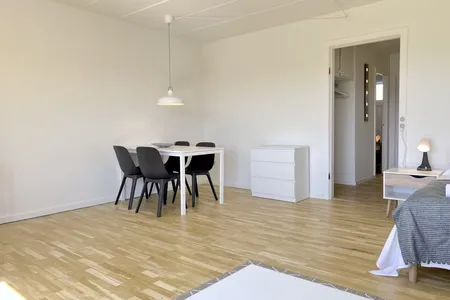 Valhojs Serviced Apartment