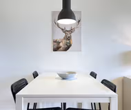 Rødovre Serviced Apartment