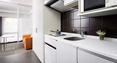 Luxury Shinjuku Apartment