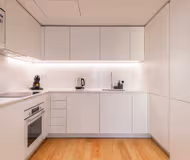 Downtown Cozy 1BDR Apartment