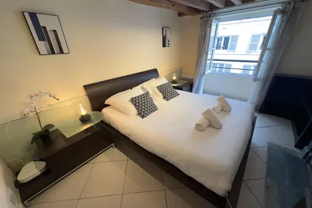 Rue de Rivoli Serviced Apartment, Next to Tuileries, 1st Arr.