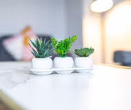 Sheffield 3BR 3 - Contractors & weekend breaks
