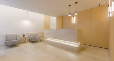 Aristoteles Elegance