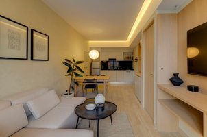 Aristoteles Elegance