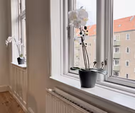 Strandpark Serviced Apartment