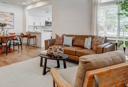 Palomino Park Apartment