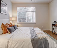 Palomino Park Apartment