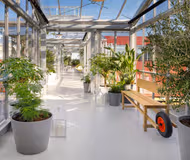 Amagerfælledvej Serviced Apartment