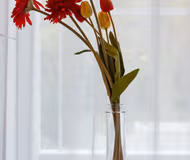 Oostduinplein Serviced Apartment