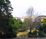 Câmpineanu Serviced Apartment