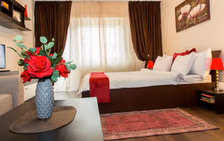 Radulescu Serviced Apartment