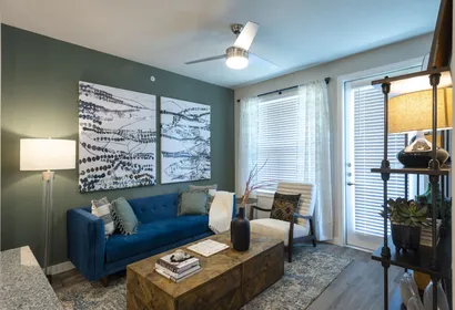 Stylish 1BR in Texas