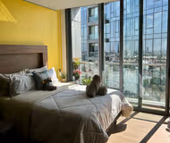 Secure and Luxurious Apartment