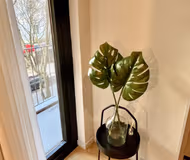 Avenida Serviced Apartment