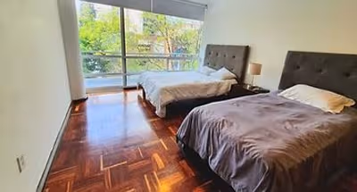 Modern Masaryk Apartment