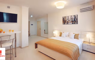 Cojocarilor Serviced Apartment
