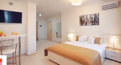Cojocarilor Serviced Apartment