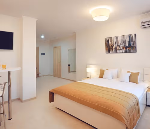 Cojocarilor Serviced Apartment