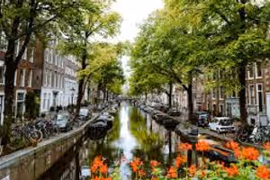 Amsterdam Relocation Guide