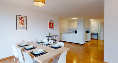 Neugasse Serviced Apartment